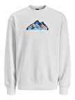 Jack Jones Mountaın Logo Bisiklet Yaka Erkek Sweat 12262094