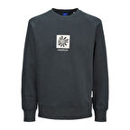 Jack & Jones Erkek Bisiklet Yaka Sweatshirt 12262958