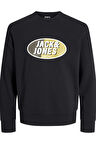 Jack & Jones 12267544 Jcoray Color Sweat Crew Neck Fst Erkek Sweatshirt
