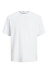 JACK JONES Erkek BEYAZ Crew Neck Tişört 12262494