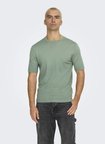 Only & Sons Yeşil Erkek Normal Fit Kazak 22022928 ONSWYLER LIFE SS KNIT NOOS