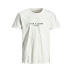 Jack & Jones Erkek T-Shirt 12276646