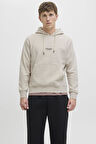 Jack & Jones JJESOHO Kapüşonlu Sweatshirt – Erkek Hoodie NOOS 