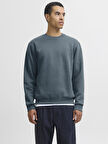 Jack & Jones JJEBRADLEY Crewneck Sweat | Günlük Erkek Sweatshirt 