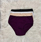 Kadın yüksek Bel külot Pamuklu 4 lü Set