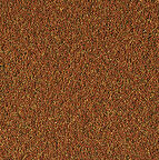 Tropical Nanovit Granulat 50 Gram Balık Yemi