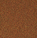 Tropical Nanovit Granulat 500 Gram Kovadan Bölme