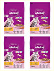 Whiskas Tavuklu Yavru Kuru Kedi Maması 300 Gr*4 Adet