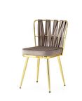 Cafe Bahçe Mutfak Sandalyesi Örgülü Gold Ayak 2 Li Set