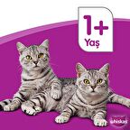 Whiskas Tavuklu ve Sebzeli 3.8 kg Yetişkin Kuru Kedi Maması