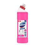 DOMESTOS PRO  BANYO TEMİZLEYİCİ 750 ML KOLİ 20 ADET 