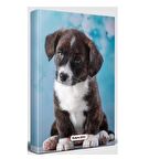 Minik Arkadaş - Planlama Defteri