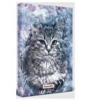 Asil Kedi - Planlama Defteri