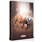 Can Dostlar - Planlama Defteri