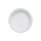 Niceplast Plastik Tabak 17 Cm. 100'Lü 1 Adet