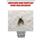 Tuvalet sineği ilacı