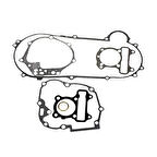 Gear5 Conta Takımı - Kuba Zenzero