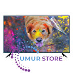 Thomson 40fa2s13led 40 İnç Tv Ekran Koruyucu