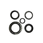 Gear5 Keçe Seti 5'li - Bajaj Pulsar NS 200