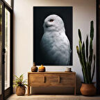Beyaz Baykuş Kanvas Tablo