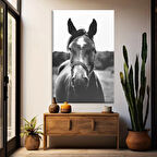 Siyah Beyaz At Kanvas Tablo
