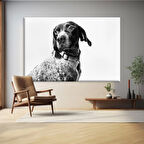 Köpek Portresi Kanvas Tablo