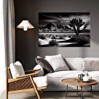 Çöl Ağaçları Kanvas Tablo