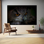 Gözlerinde Gizemi Saklayan Baykuş Kanvas Tablo