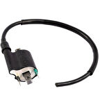 Gear5 Ateşleme Bobini - RKS Spontini