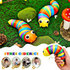 Söktak Eğlenceli Tırtıl Oyuncak - Stres ve Anksiyete Giderici Montessori Tırtıl Oyuncağı - Renkli Tırtıl