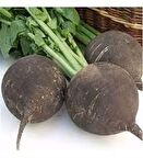 Green Line Siyah Turp Tohumu 10gr