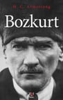 Bozkurt