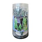 Avatar Kaya Yüzen Dekor S Boy 9 x 8,1 x 6,2 Cm