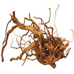 Çöl Kütüğü (Bağ)