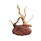 Doğal Lavtaşı Zemin Ahşap Dekor  12-20cm