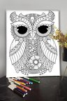 Baykuş 1 40x30cm Çocuklar Için Özel Boyanabilir Tablo Tuval Mandala Kalem Hediyesi Yoktur.