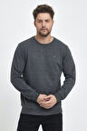 Erkek Antrasit Bisiklet Yaka Nakış Detaylı  Regular Fit Sweatshirt CMRE70