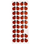 Sticker Kabartmalı Stiker Defter, Planlayıcı Etiket Uğurböceği (cb265) 16x7 cm