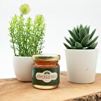 Köyceğiz Balı Çam Balı 45 G Cam Kavanoz