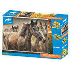 Prime 3D Atlar 500 Parça Yetişkin Puzzle 10481