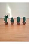 Mini Kaktüsler 4'lü Set - Bitki Gibi Ama Sonsuza Kadar