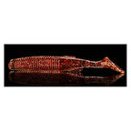 Lurefans Kaneka 5,5 Cm Color 7# 10 Pcs