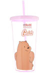 We Bare Bears Lisanslı Pipetli Plastik Şişe (600Ml) - Boz Ayı
