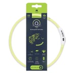 m-pets flash led boyun tasma yeşil (m)