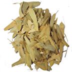 Dökme Bitkiler Okaliptus Yaprağı - 100 gr