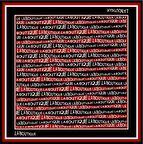 La Boutique Tivil İpek Eşarp 1631-03