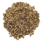 Dökme Tohumlar Dereotu Tohumu - 250 gr