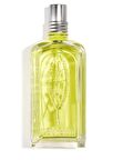 L'occitane Mine Çiçeği Turunç Parfüm EDT 100 ML 