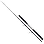 Ryuji Seawolf 183 cm 200-400 gr Jig Kamış