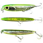 Ryuji Dog Walker 11cm 12gr Maket Yem